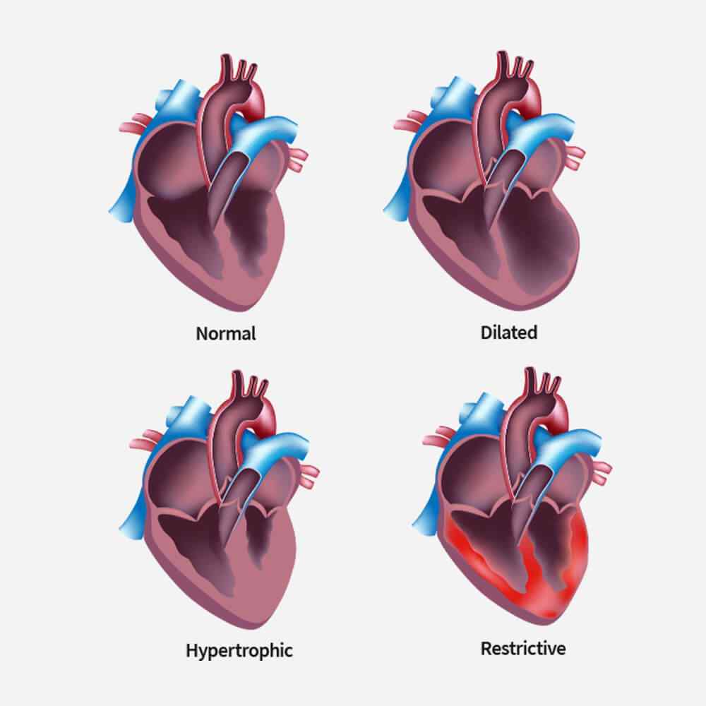 https://clinic.ariasibiu.ro/wp-content/uploads/2021/09/single_service_02.jpg